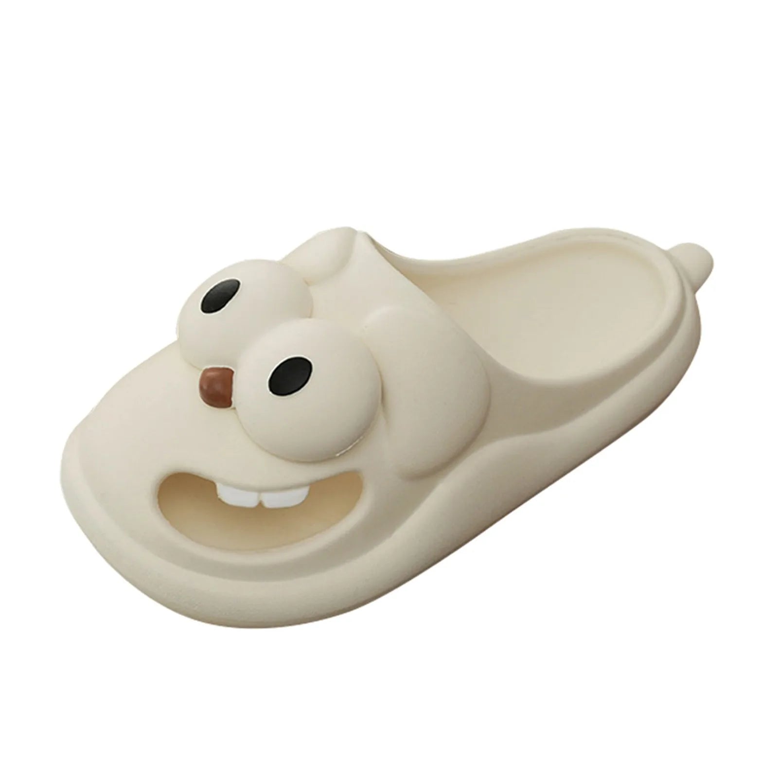 Dog Slippers